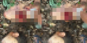 Imagem muito forte mostra homem deg0lad0 na mata no interior do Amazonas