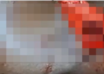 Imagem forte: moradores de  Iranduba fotografam c0rpo de homem m0rto por onça