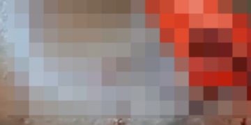 Imagem forte: moradores de Iranduba fotografam c0rpo de homem m0rto por onça