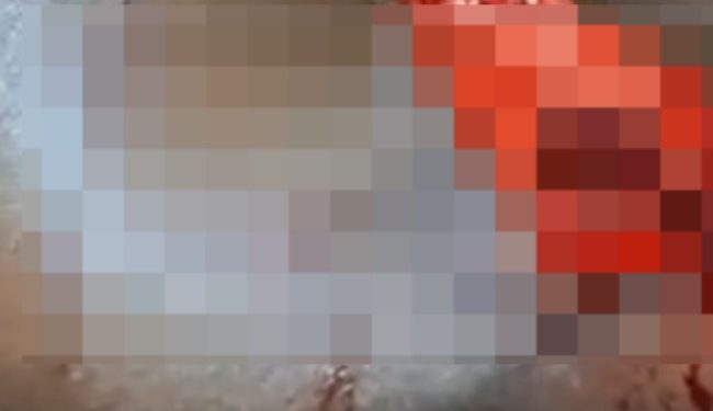 Imagem forte: moradores de Iranduba fotografam c0rpo de homem m0rto por onça