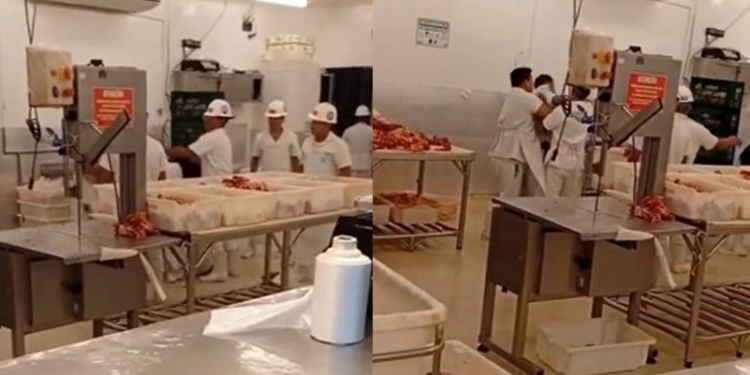 Vídeo: Br1g@ entre açougueiros no Baratão da Carne é registrada por clientes e viraliza