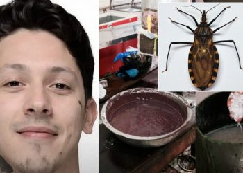 Jovem toma açaí do Pará contaminado por fezes do Barbeiro e m0rre no Pronto-Socorro 