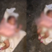 Casal decide curtir o Ano Novo e abandona a filha bebezinha no sereno, na Zona Leste de Manaus