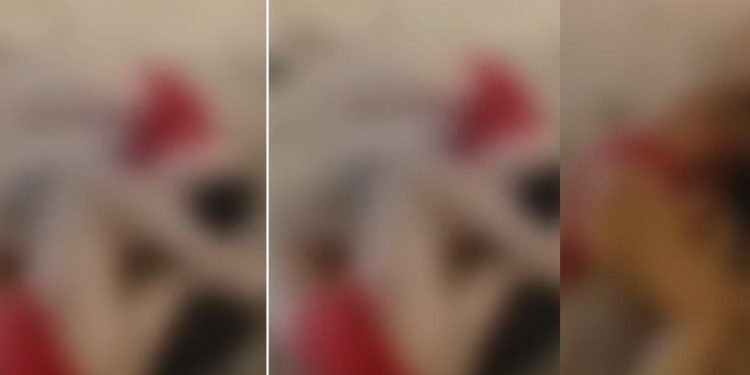 Vídeo: farofeiras passam vergonha brigand0 na saída de flutuante em Manaus