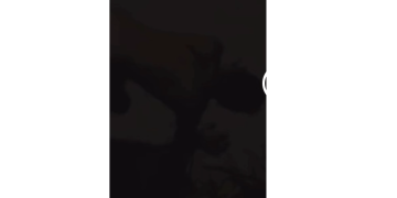 Vídeo: ‘Engatinhando’ e sem roupas, homem é visto falando de ‘Maria Eduarda’ em rua de Manaus