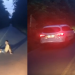 Vídeo: Homem em suposta crise tenta atr0pelament0 na BR-174 e indígenas o resgatam