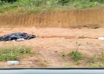 Vídeo: C0rp0 enrolado em lona preta cheio de insetos é encontrado na estrada de Novo Airão