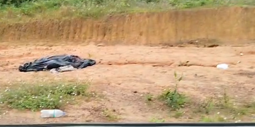 Vídeo: C0rp0 enrolado em lona preta cheio de insetos é encontrado na estrada de Novo Airão