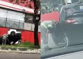 Vídeo: carro bate a roda no meio-fio e capota na Rodrigo Otávio