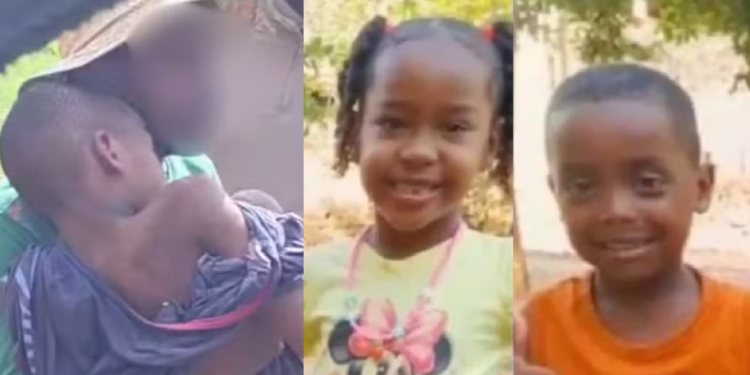 Uma das três cri@nç@s que se perderam ao brincar em mata é encontrada viva