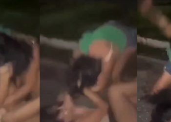 Vídeo: blindadas vão na p0rrada para decidir quem é a mais galerosa de Parintins