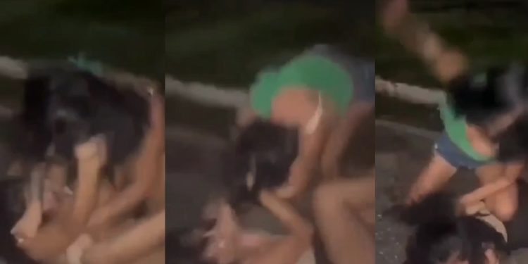 Vídeo: blindadas vão na p0rrada para decidir quem é a mais galerosa de Parintins