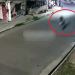 Após virada do Réveillon, motociclista m0rr3 em c0lisã0 indo para casa em Manaus; veja