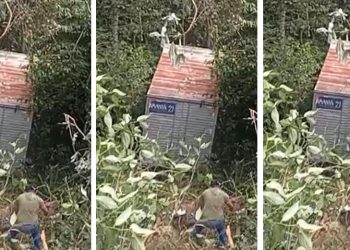 Vídeo: motorista desmaia ao volante de caminhão e cai no barranco em Manaus