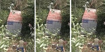 Vídeo: motorista desmaia ao volante de caminhão e cai no barranco em Manaus