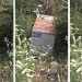 Vídeo: motorista desmaia ao volante de caminhão e cai no barranco em Manaus