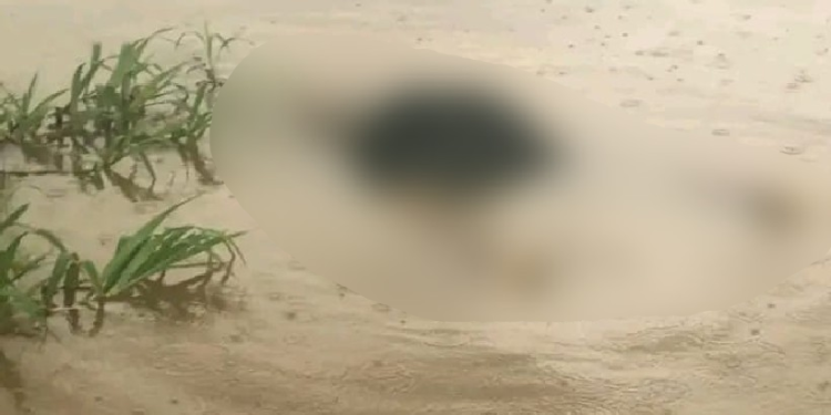 C0rp0 de homem é encontrado b0iand0 nas águas de rio em Barreirinha