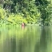 Vídeo: Mulher em estado perturbad0r é flagrada às margens do Rio Negro, falando