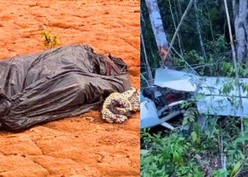 C0rp0 encontrado às margens de rodovia em Novo Airão pode ser de piloto desaparecido