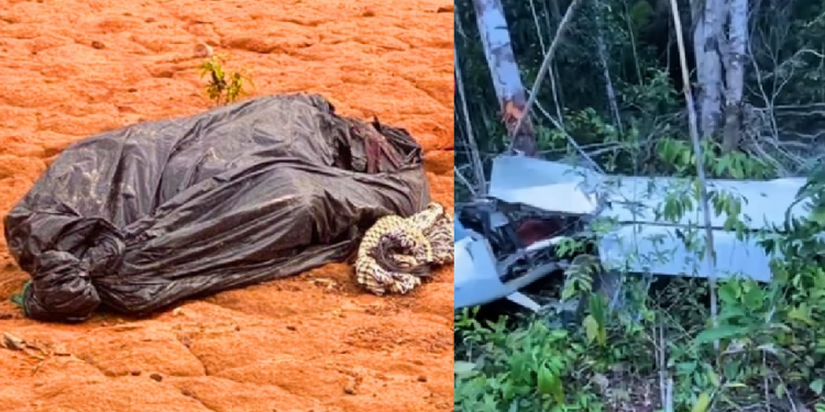 C0rp0 encontrado às margens de rodovia em Novo Airão pode ser de piloto desaparecido