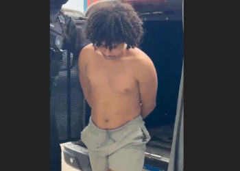 De volta à tranca: Homem que assumiu z00fili@ contra cadela é pr3s0 preventivamente em Manaus; veja