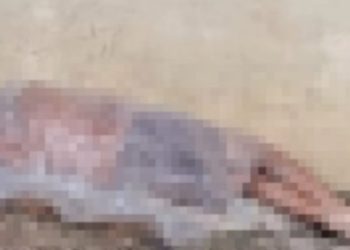 Homem m0rre enrolado em saco plástico ao lado do SPA em Manaus