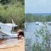 Aeronave cai no Rio Negro durante voo entre Manaus e Iranduba; vídeo