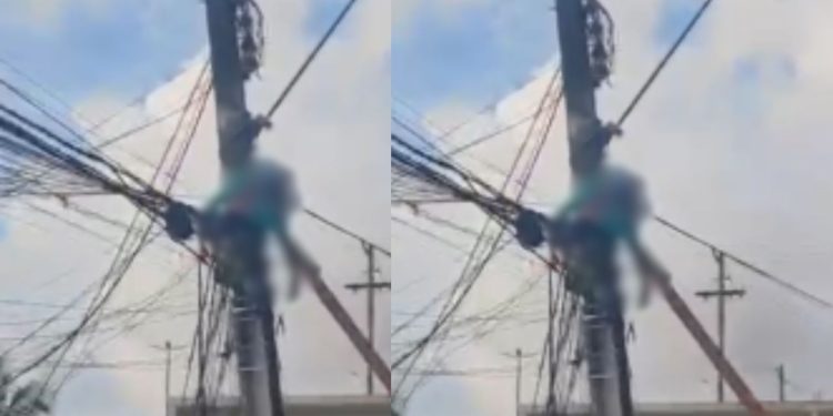 Homem tenta ligação irregular, é eletrocutado, desmaia e acorda em Manaus