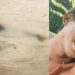 Após resgate, polícia identifica homem encontrado m0rt0 boiando em Iranduba