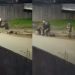 Vídeo: Crimin0s0s atacam jovens e levam celulares em assalt0 em Tefé