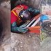 Cachorro cai em bueiro de 4 metro e é resgatado pelos bombeiros em Manaus