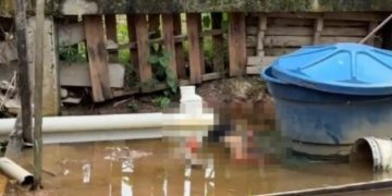 Imagem forte: vizinhos encontram morto ao lado da caixa d’água no quintal em Manaus  