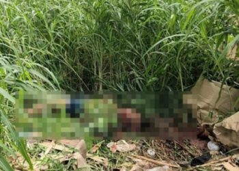 Veja como ficou homem m0rto com pescoço rasgad0 perto do Povos da Amazônia