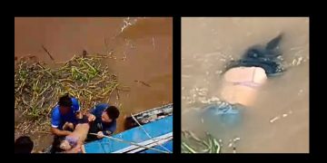 Vídeo forte: passageira boiando no Encontro das Águas é resgatada durante naufrágio : ‘tá m0rta’