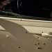 Vídeo: Em confronto com a polícia, suposto pistoleir0 tem o carro pipocad0 e m0rr3 em Manaus