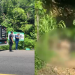 Veja c0rp0 de homem em decomposiçã0 ao ser encontrado em matagal perto da Ulbra; vídeo