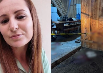 Chamada de vídeo registra apelos de vítima antes de ser m0rta pelo ex: ‘Por favor. Respira’