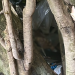 Veja: Após p3rna no Centro de Manaus, segunda parte é encontrada na Zona Norte