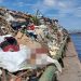 P3rna humana é encontrada em meio ao lixo retirado do Rio Negro em Manaus