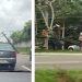 Dois postes são derrubados em acidente na Avenida do Turismo