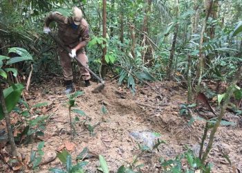 Polícia busca corpo de d3tent0 supostamente ex3cutad0 e enterrad0 em mata na Zona Leste de Manaus