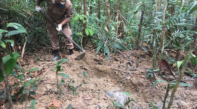 Polícia busca corpo de d3tent0 supostamente ex3cutad0 e enterrad0 em mata na Zona Leste de Manaus