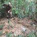 Polícia busca corpo de d3tent0 supostamente ex3cutad0 e enterrad0 em mata na Zona Leste de Manaus