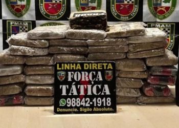 Caminhão atravessa BR-319 recheado de dr0ga, mas é apreendido na ZL em Manaus