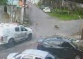 Vídeo: cães m0rrem atr0pelados por viatura da PM em Manaus