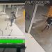 Vídeo mostra momento que casa lotérica de Manaus expl0de durante assalt0
