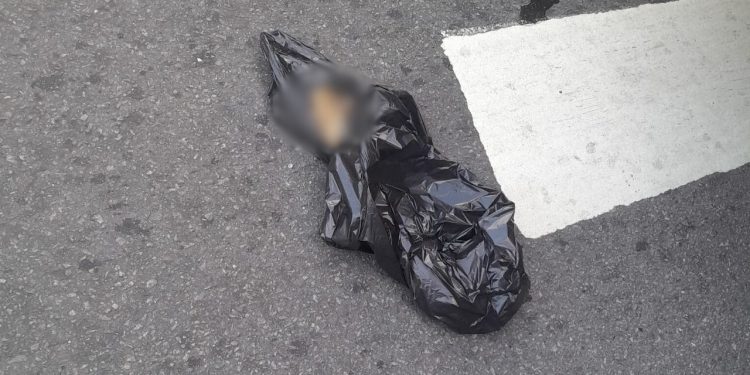 Disputa por passageiros termina com braço de homem amput4d0 após c0lisão com ônibus na São José