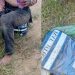 Criminosos at4cam de forma violent4 mototaxista, roubam moto e fogem em Manacapuru