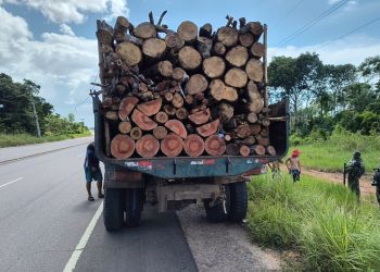 Ipaam aplica R$ 22 mil em multas por ilícitos ambientais durante Operação Região Metropolitana