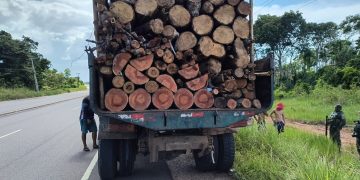 Ipaam aplica R$ 22 mil em multas por ilícitos ambientais durante Operação Região Metropolitana